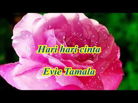 Hari hari cinta by Evie Tamala