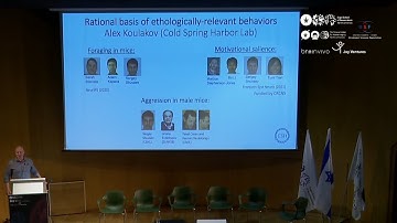 CRCNS 11-7-2023 A normative theory of social conflict - Alexei Koulakov