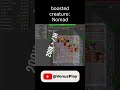 #mmorpg #tibia #games #gamer #gameplay #gaming #gamingpl