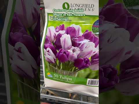 Costco plants/ bulbs