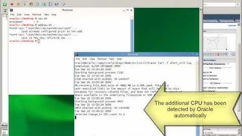 Hot adding a CPU to an Oracle database in VMware