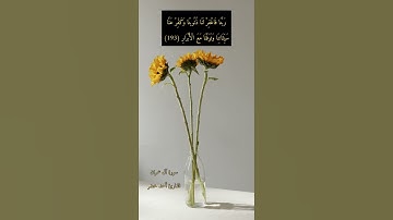 آية ١٩٣ "ربنا إننا سمعنا مناديًا ينادي للإيمان أن آمنوا بربكم فآمنا" من سورة آل عمران