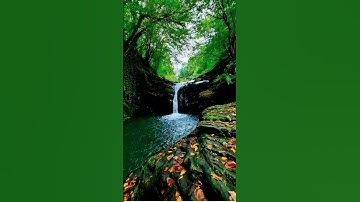 ماتيسر من سورة يوسف 🌼🌼🌼للقارئ عبد العزيز سحيم ♥️♥️♥️