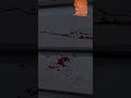 Haddonfield Mastermind Assassination #dbd