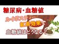 【糖尿病】ルイボスティーは本当に血糖値を下げるのか?