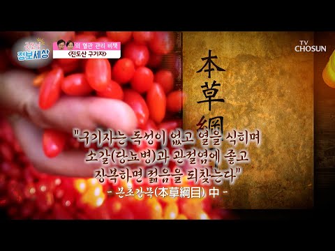 『 진도산 구기자 』 혈관 관리를 위한 특별한 비책😎 TV CHOSUN 230406 방송 | [굿모닝 정보세상] 808회 | TV조선