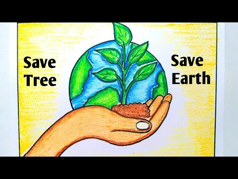 World environment Day celebrations at Perks School - Coimbatore