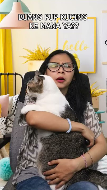 Buang Pup Kucing Ke Mana Ya?