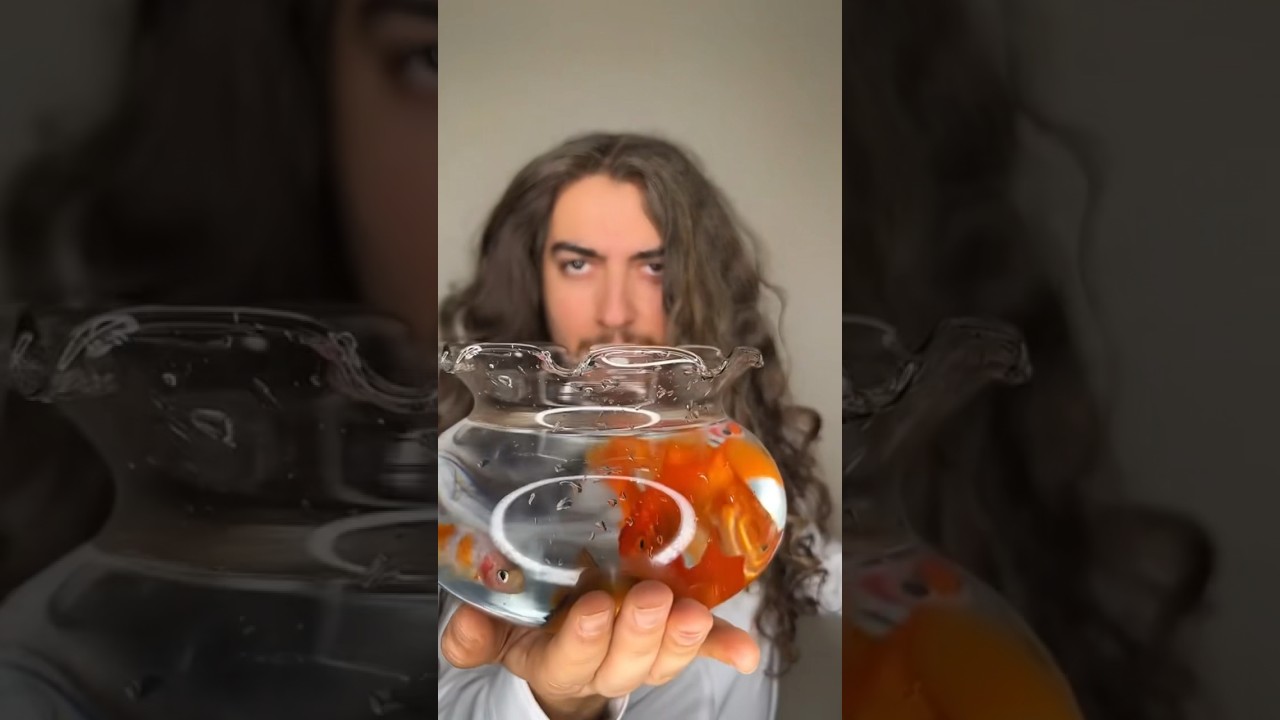 Magic trick Tutorial fish !