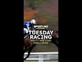 Tuesday Racing Multi-Meeting Challenge | Horse Racing Predictions