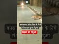 #viralvideo #trendingshorts #shortvideos
