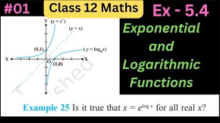 Chapter 5  Exercise 5.4 , Example 25  Class 12 Maths | NCERT Solutions | Differentiation | class 12