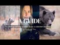 Photographing bears wolves and wolverines from a commercial hide in finland  a guide