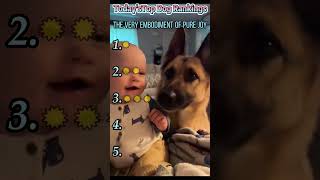 Funny Dog Compilation🤣#funny #funnyvideo #dogvideos #fyp #foryou #dog #comedy #mischief
