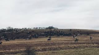 картинка: Ш.Шоҳин.д.Назарбои