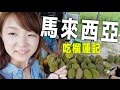 帶日本人YUMA回馬來西亞找榴槤吃啦～【RyuuuTV`s Vlog】