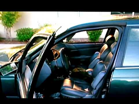 Cops - Mosca