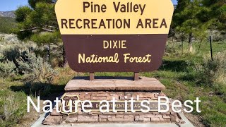 Pine Valley Rec Area - Pine Valley Utah - Nature at it's Best by I go where I'm Towed - Youtube Camping  1,415 views 2 years ago 19 minutes