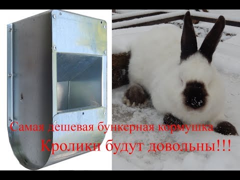 Самая дешевая бункерная