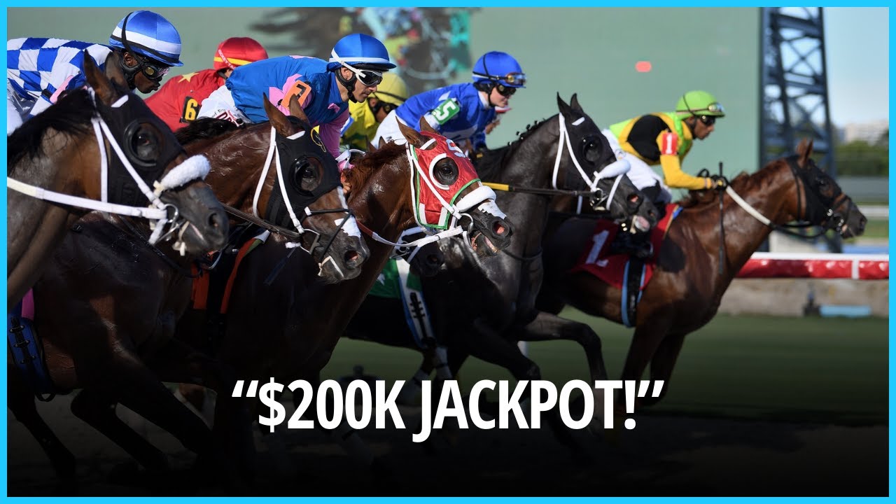 $200,000 Rainbow 6 Jackpot at Gulfstream Park – Friday Preview। USA NEWS TODAY