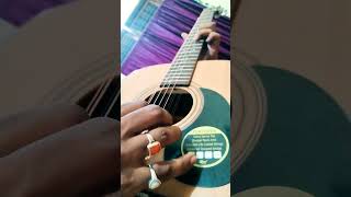 Raag Bhopali / 12 String Guitar / bandish  / Teen Taal #shorts