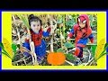 Toddlers In Costumes at a Corn Maze for Kids | Lose Their Toy | Pumpkin Patch Part 3