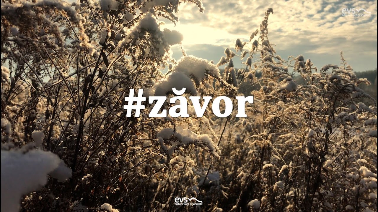 Zăvor