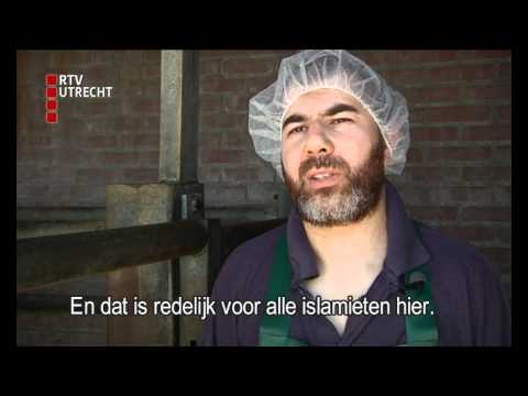 Video: Wat is een antemortemkeuring?