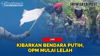 🔴Kibarkan Bendara Putih, OPM MULAI LELAH Umumkan Hentikan Kontak Senjata di Papua,Isyarat Damai KKB?