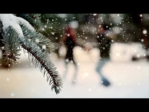 🎵Kaz Hawkins - music video - Lonely Boy🎄