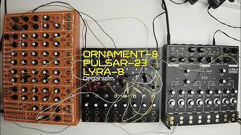 Ornament-8. Pulsar-23. Lyra-8. Organism.