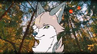 • Forget • meme
