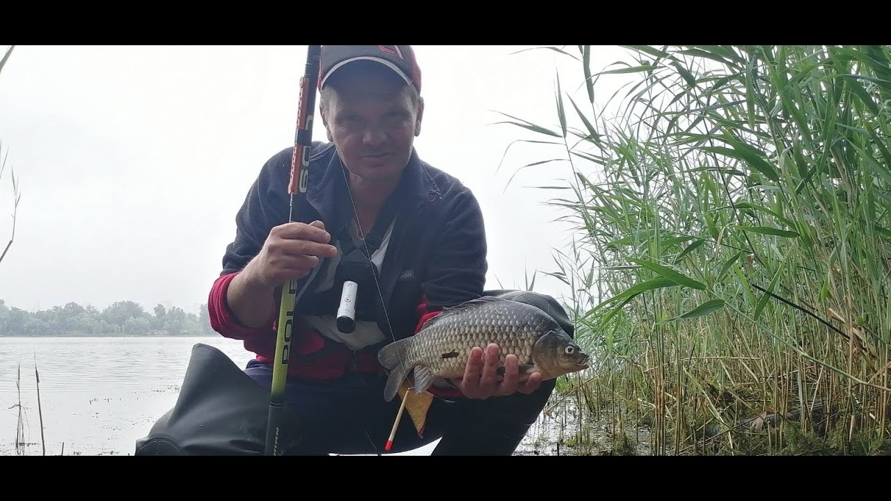 Ловля карася на поплавок в городе. Залив Верблюд.