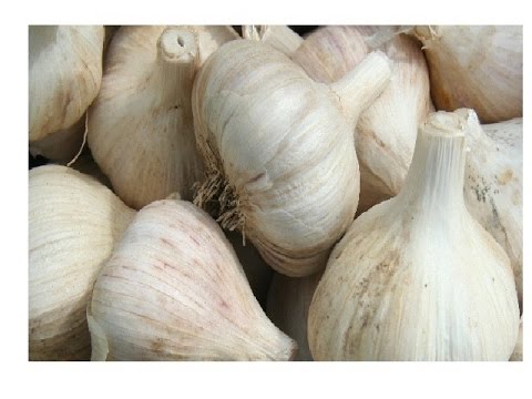Garlic to cure pimples weight loss tips in tamil doctors