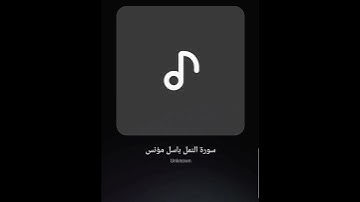 آواخر سورة النمل تلاوة باسل مؤنس رحمه الله