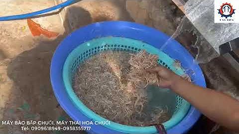 Máy bào bắp chuối, máy thái hoa chuối, máy bào bắp cải su