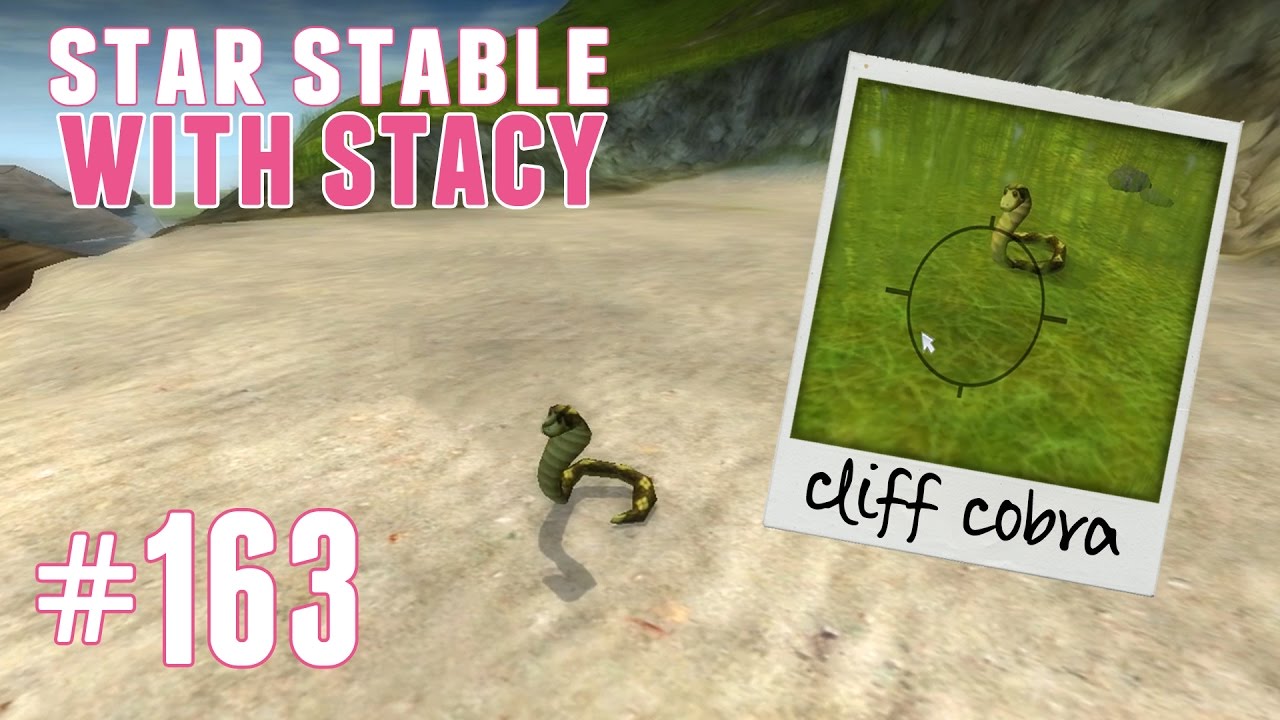 Star Stable with Stacy 163 A Suspicious Snake Bite! YouTube