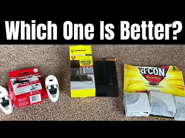 What is The Best Way to Eliminate Mice? 