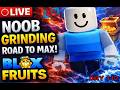 🔴 LIVE [Day 112] Blox Fruits Noob Grinding - Road to Max🔥 + Chill Music 🎧