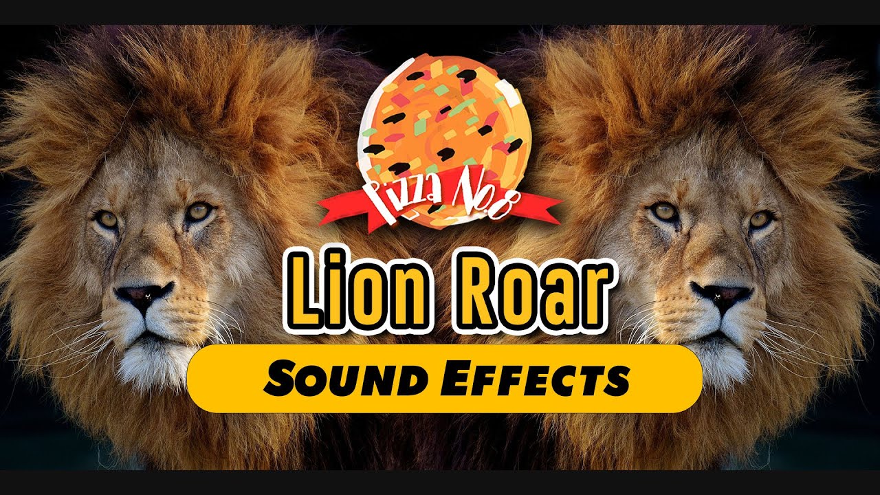 LION ROAR  Sound Effect [High Quality] 