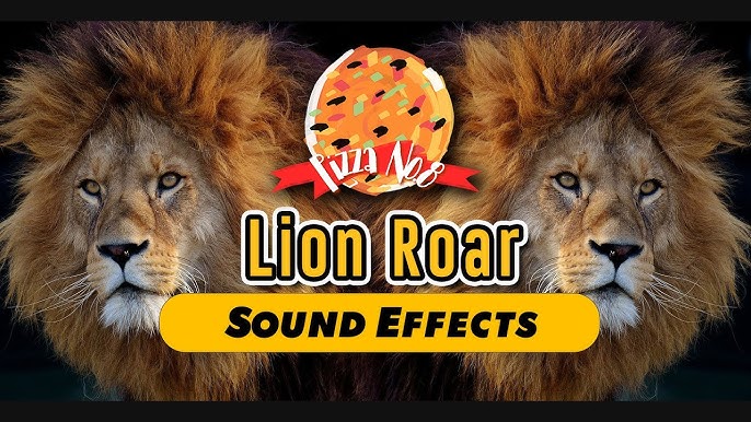 LION ROAR  Sound Effect [High Quality] 