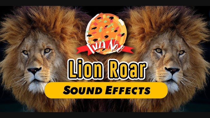 Loud Lion Roar Sound Effect Mp3 Download Lion Sound Effects