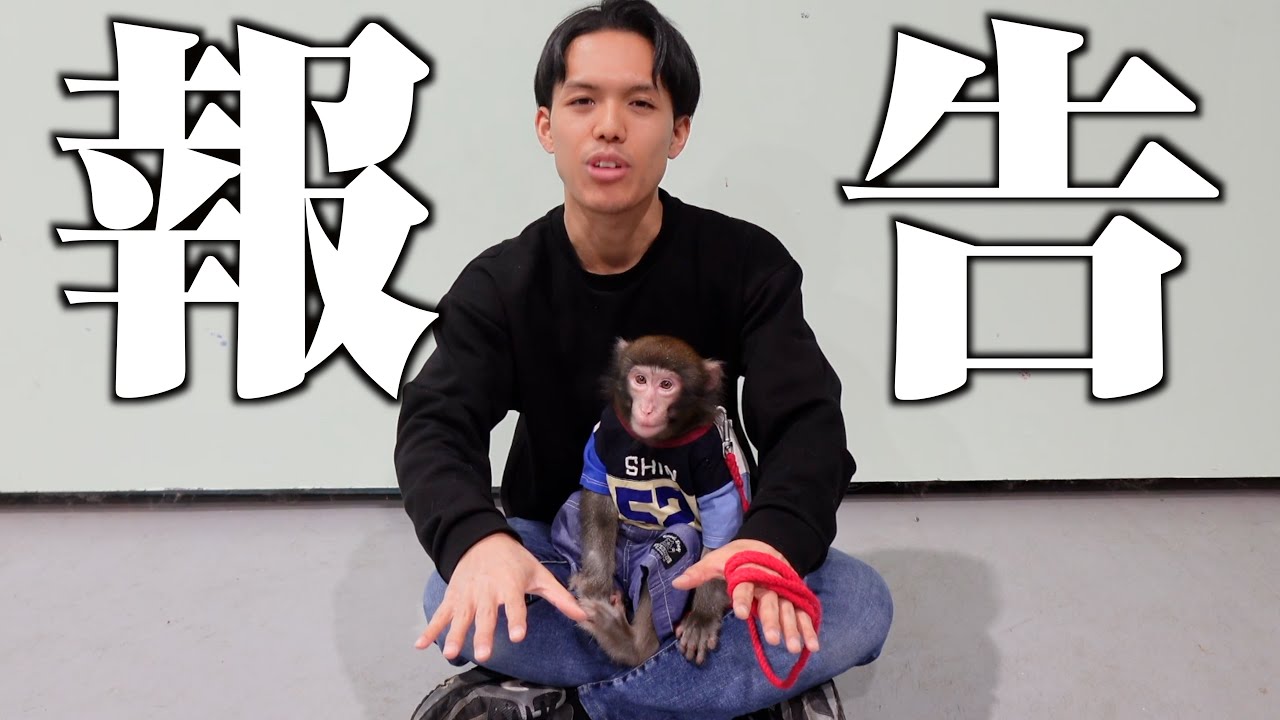 Regarding Shin-kun's future interactions - YouTube