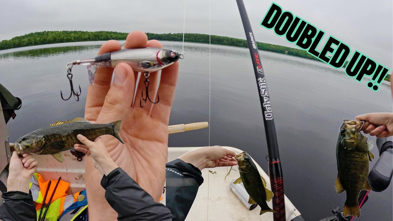 BIG Bass LOVE The Whopper Plopper! (Nova Scotia)