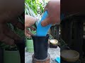 Repotting Sansevieria Mandalika Hybrid #gardeninspiration #homegarden #outdoorliving