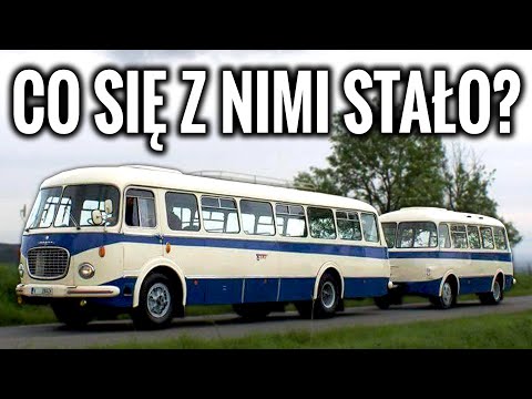 Wideo: Gdzie Narzekać Na Autobus?