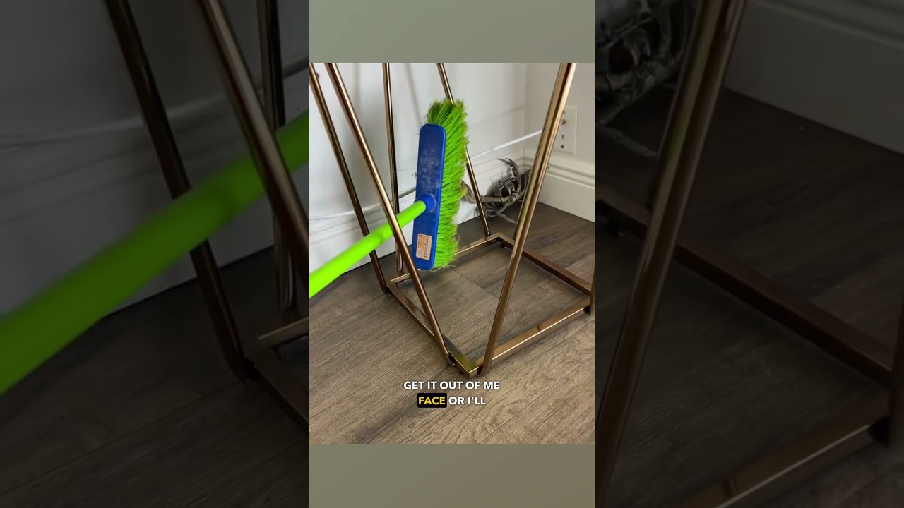 Crab vs Broom - Ozzy Man Quickies