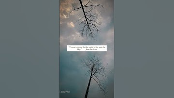 “Trees are poems that the earth writes upon the sky.”#birds  #tree & #sky #love #forever #viralvideo