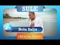 Sule   bola salju