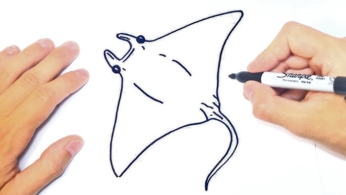 Cómo dibujar una Manta o Raya Paso a Paso y fácil - YouTube c-mo-dibujar-una-manta-o-raya-paso-a-paso-y-f-cil-youtube